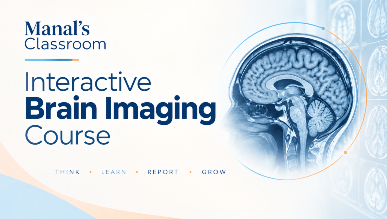 Interactive Brain Imaging Course